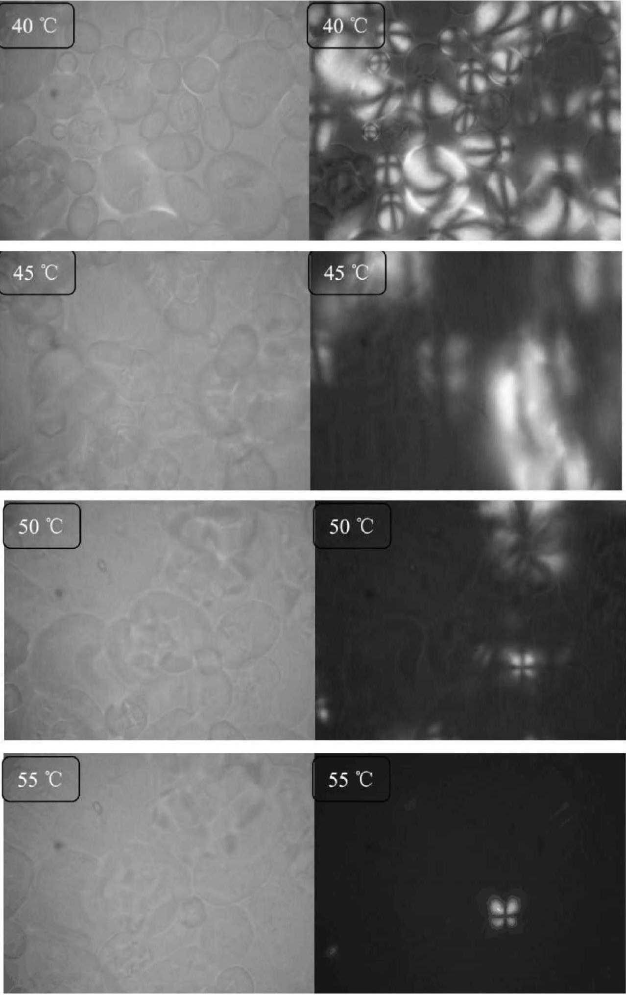 2.3 顯微分析